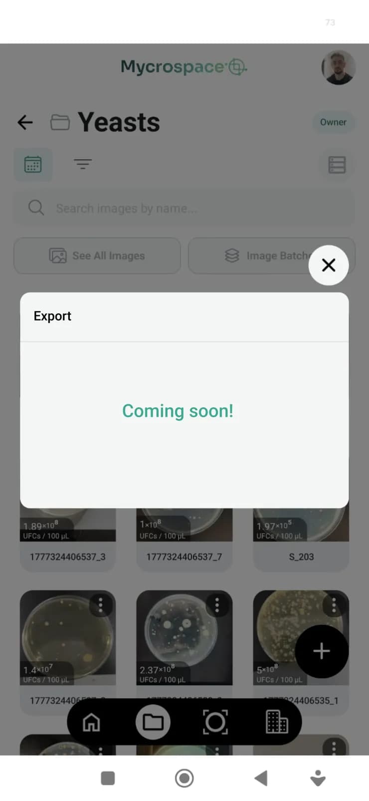Pantalla de exportación de informes